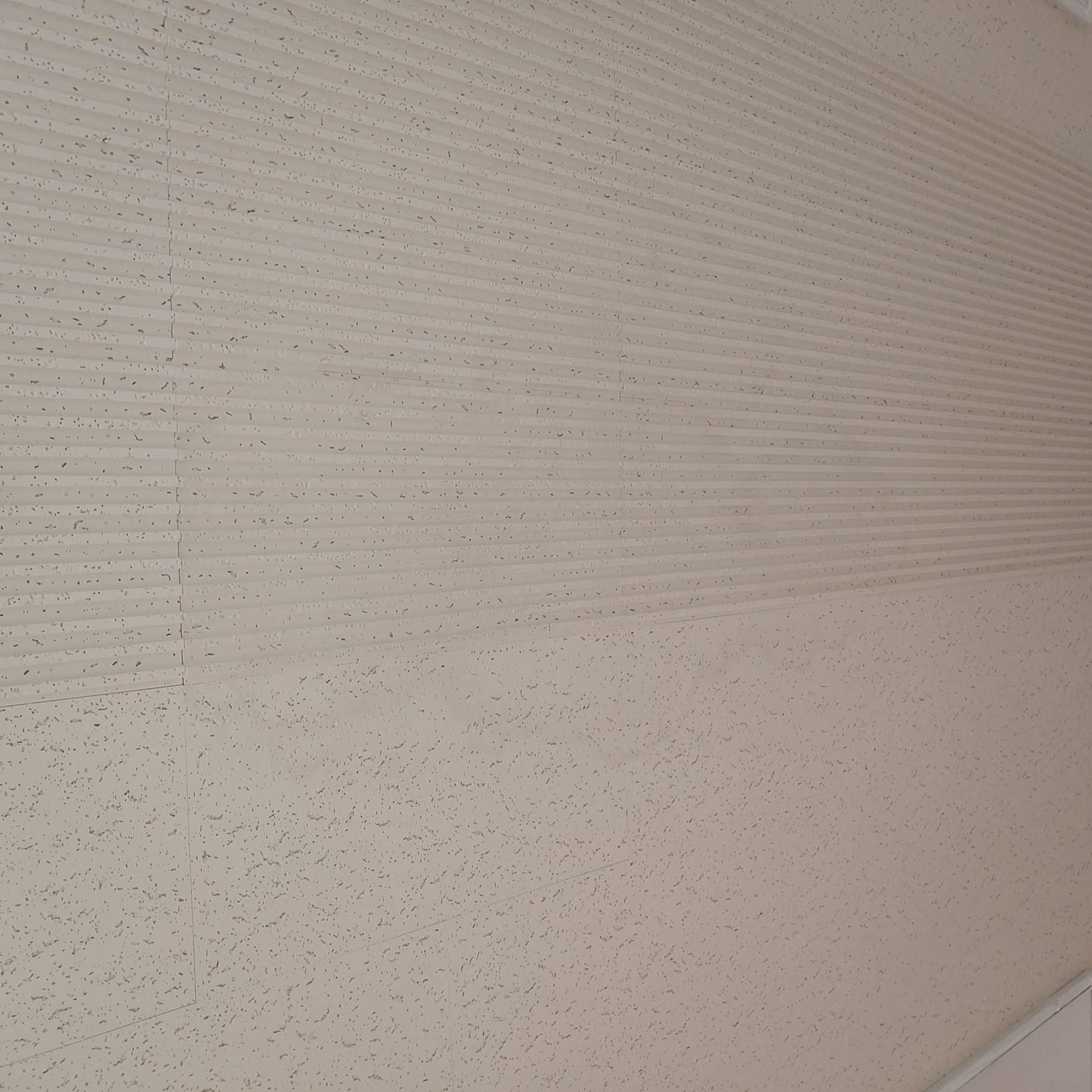 영등포 여고 — 여자 고등학교