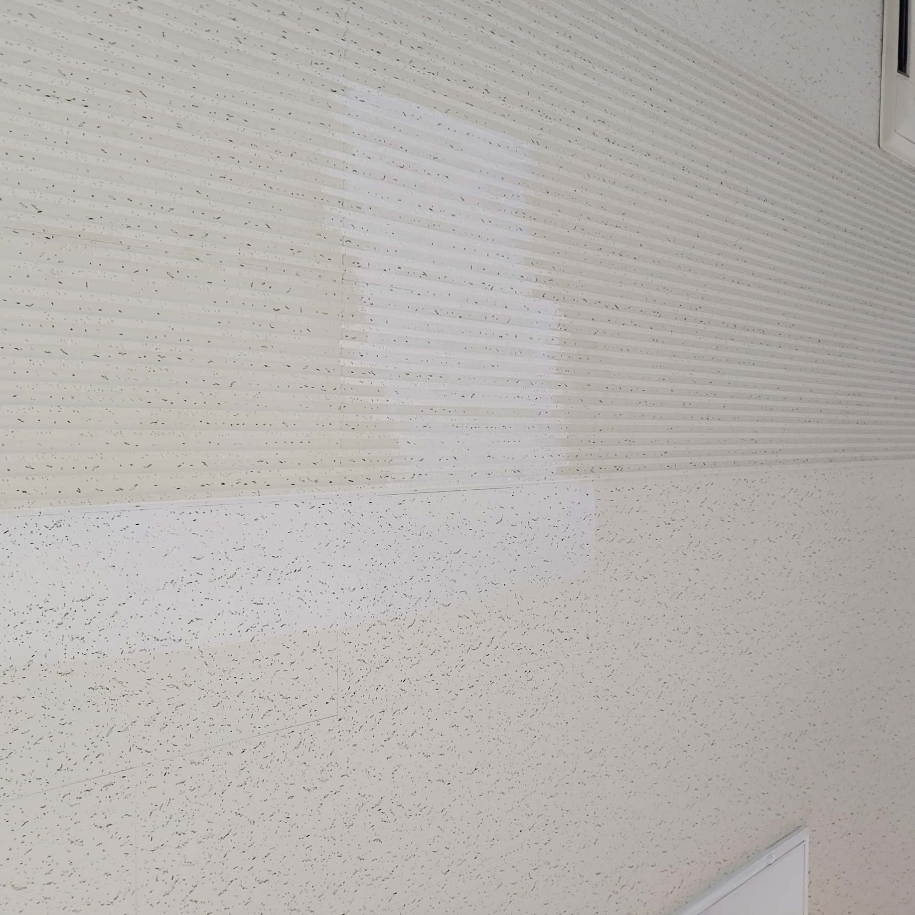 영등포 여고 — 여자 고등학교