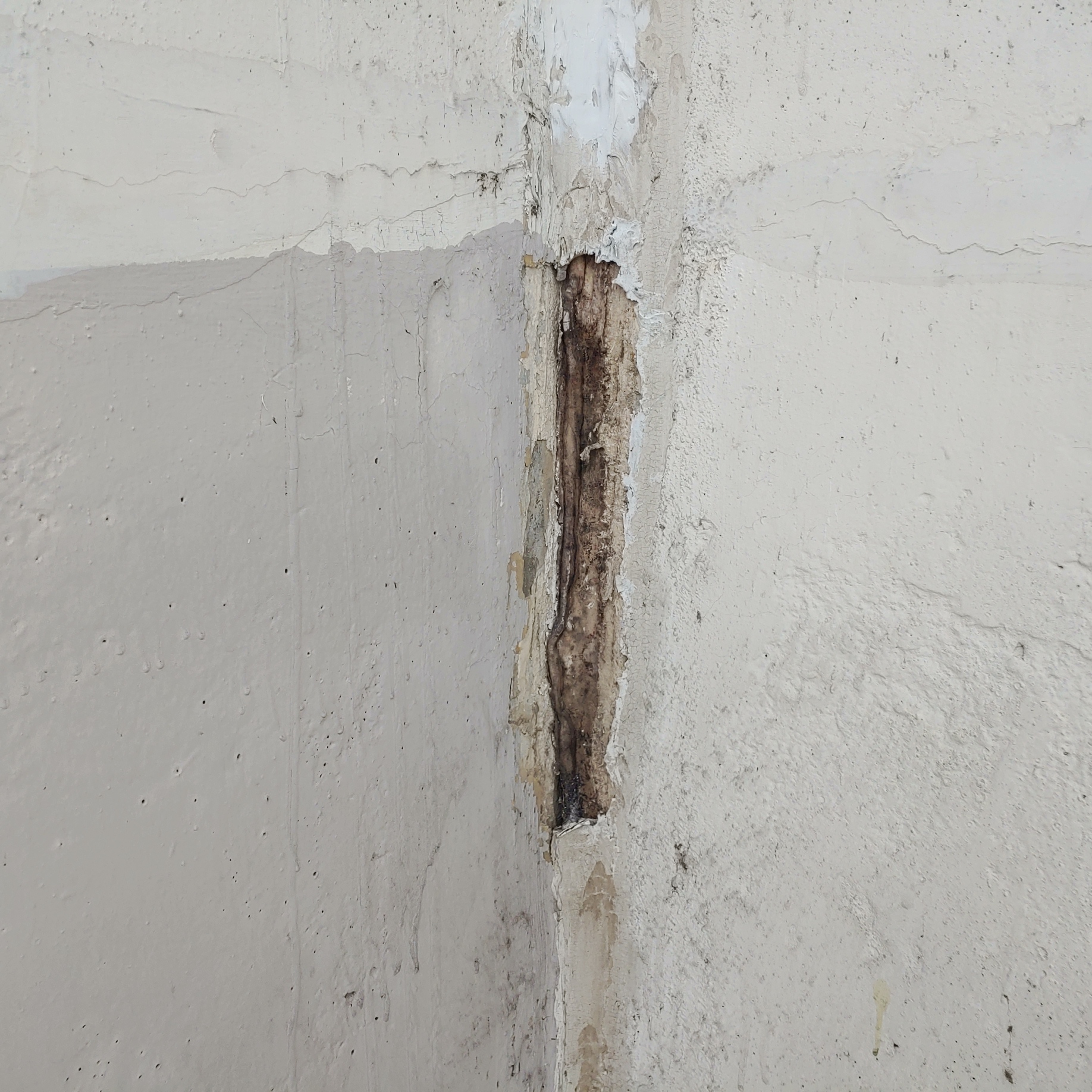 송촌토파즈아파트 — 아파트