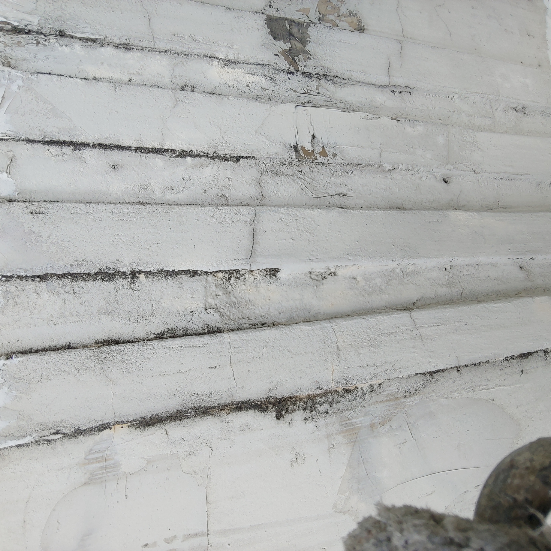 송촌토파즈아파트 — 아파트