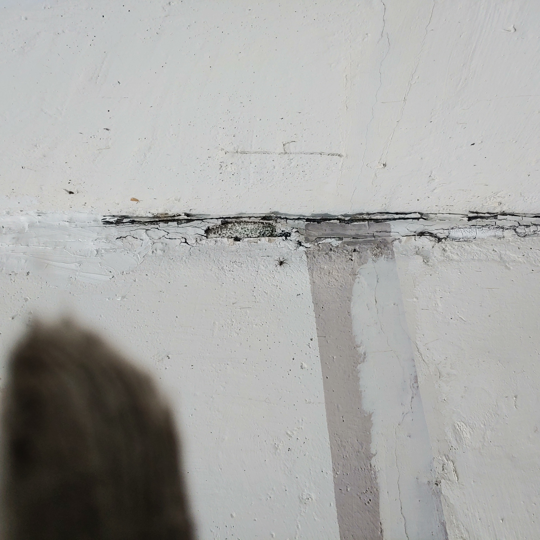 송촌토파즈아파트 — 아파트