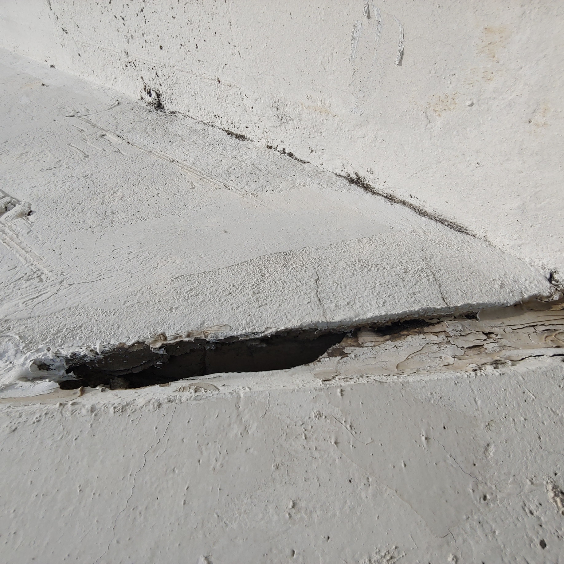 송촌토파즈아파트 — 아파트