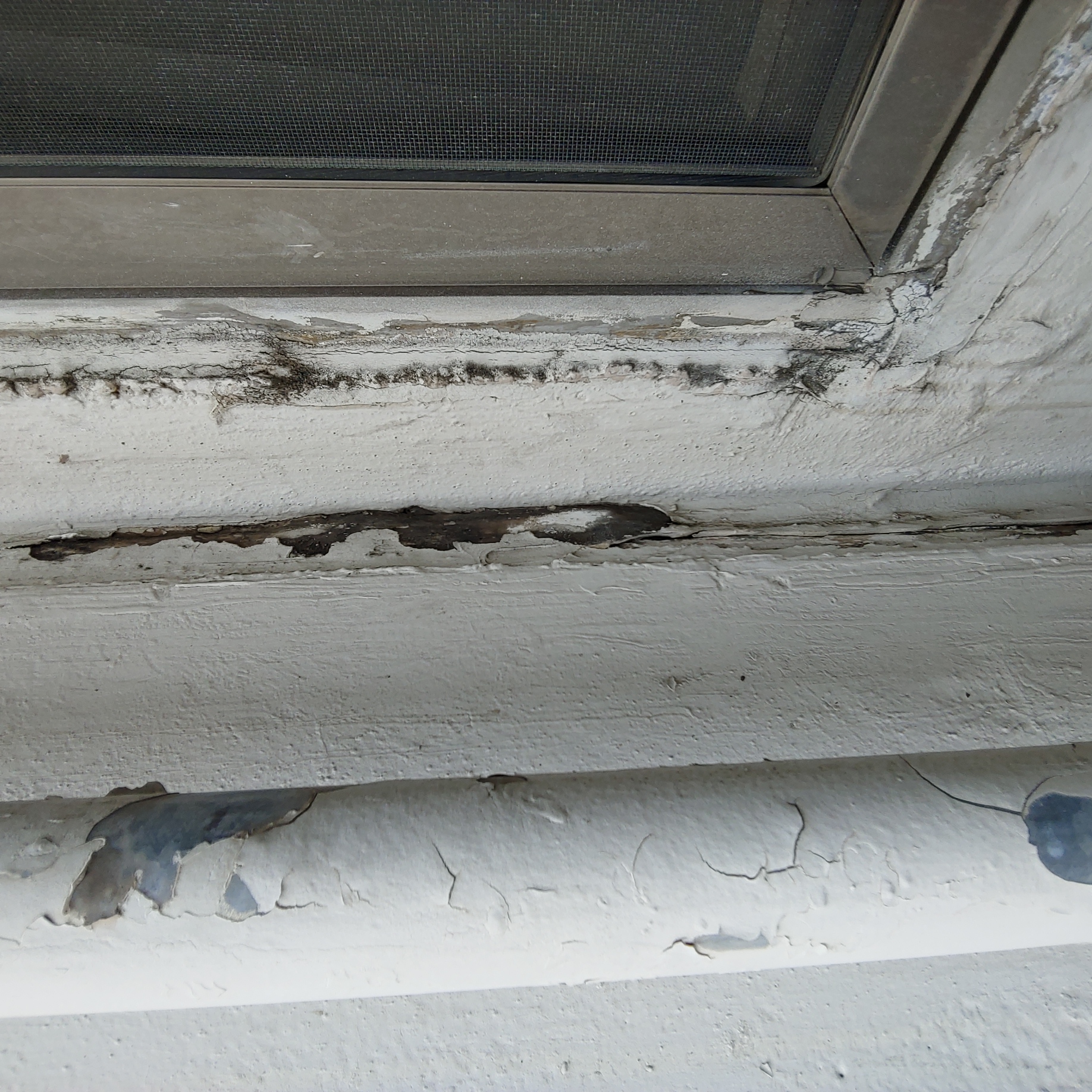 송촌토파즈아파트 — 아파트