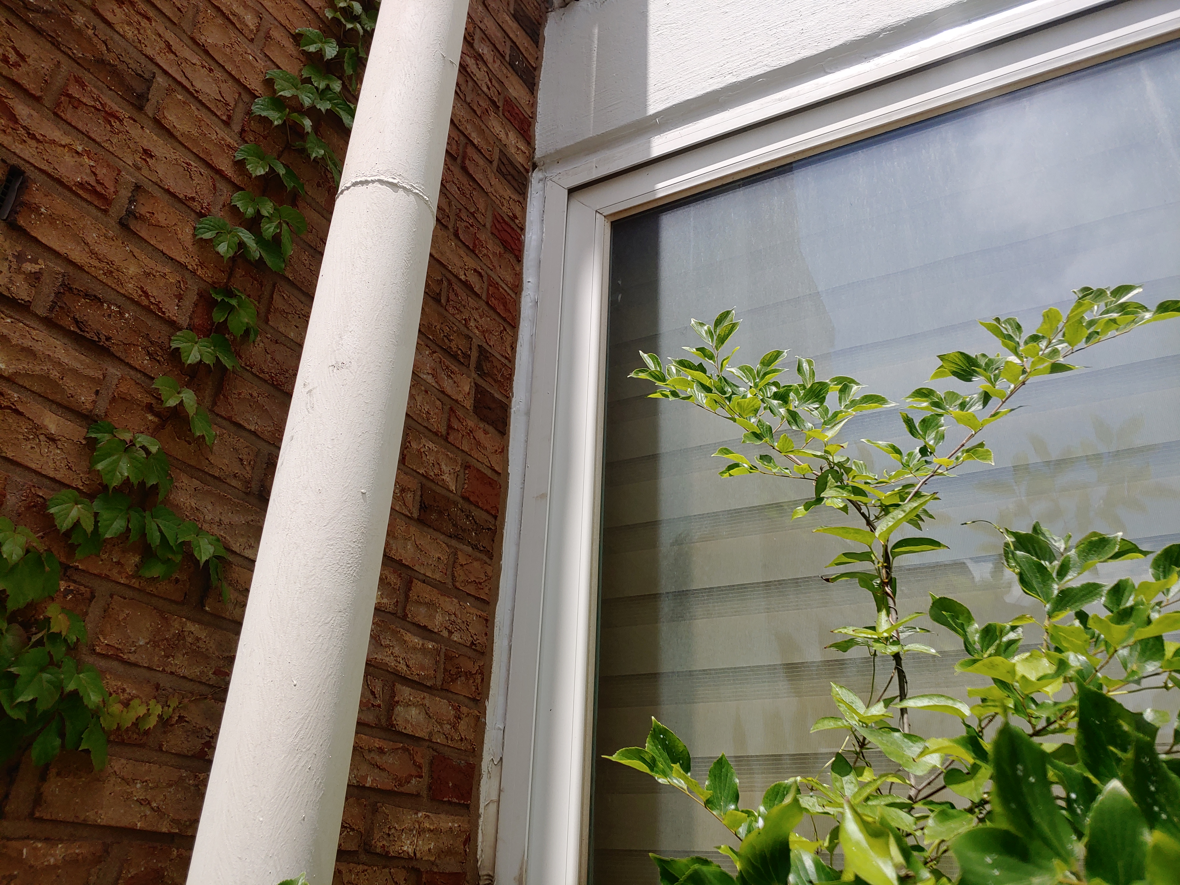 GS칼테스 — 사택 도장