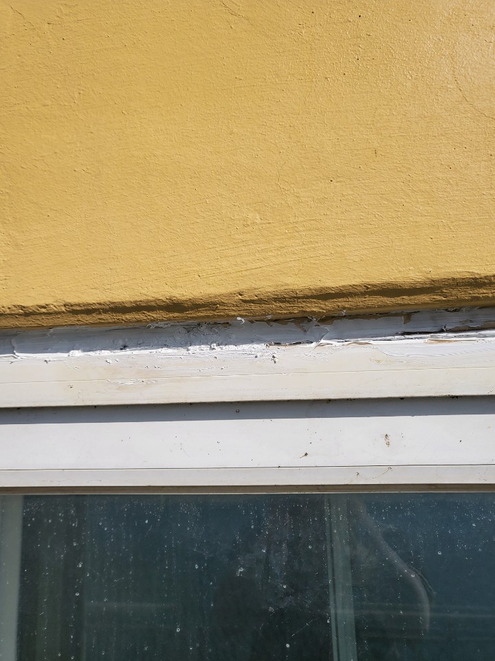 GS칼테스 — 사택 도장