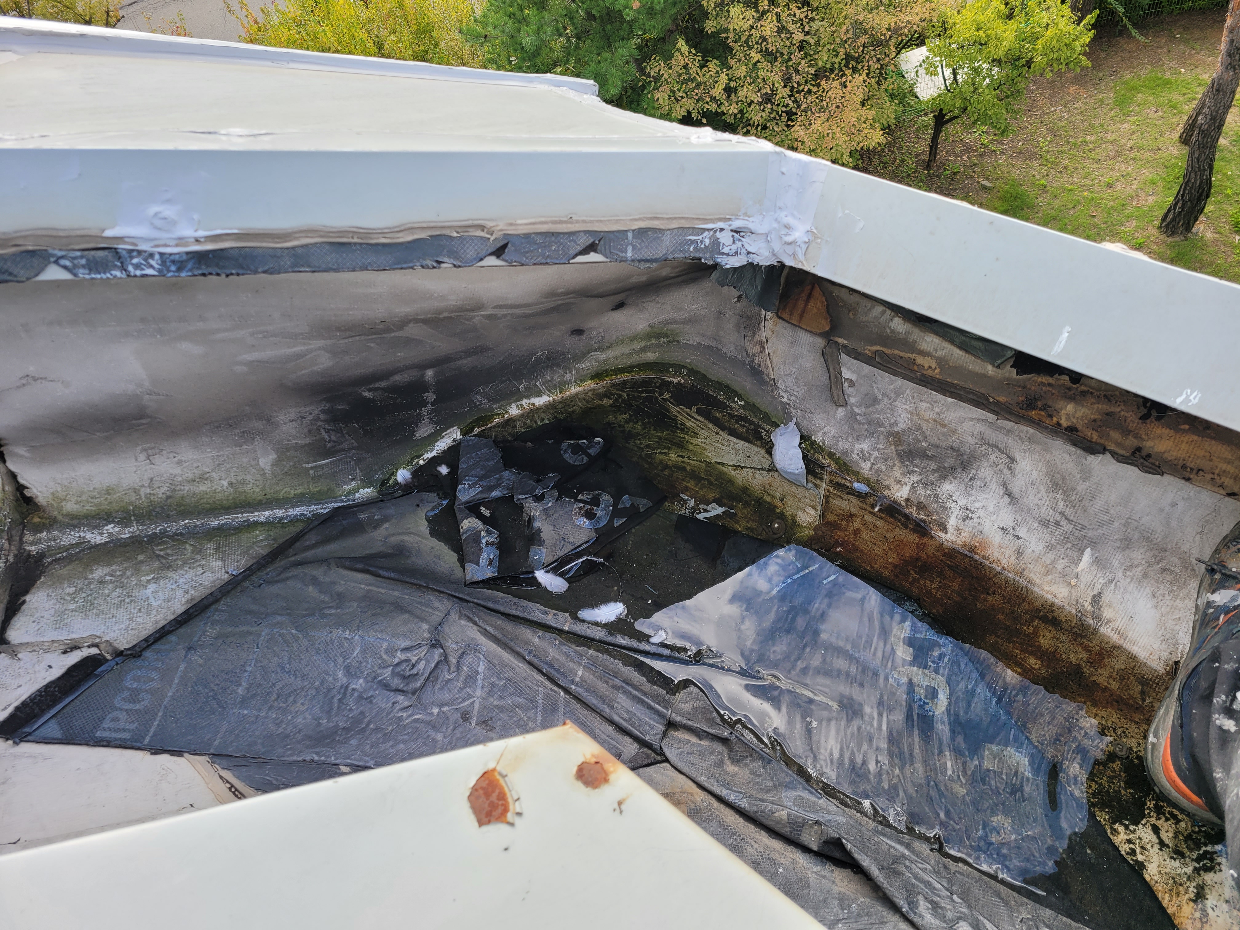 고양시 — 종합체육관