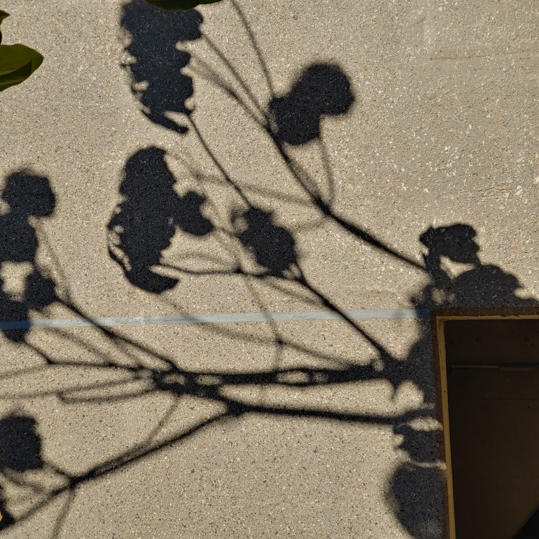 정관이지더원 아파트 — 외부 재도장