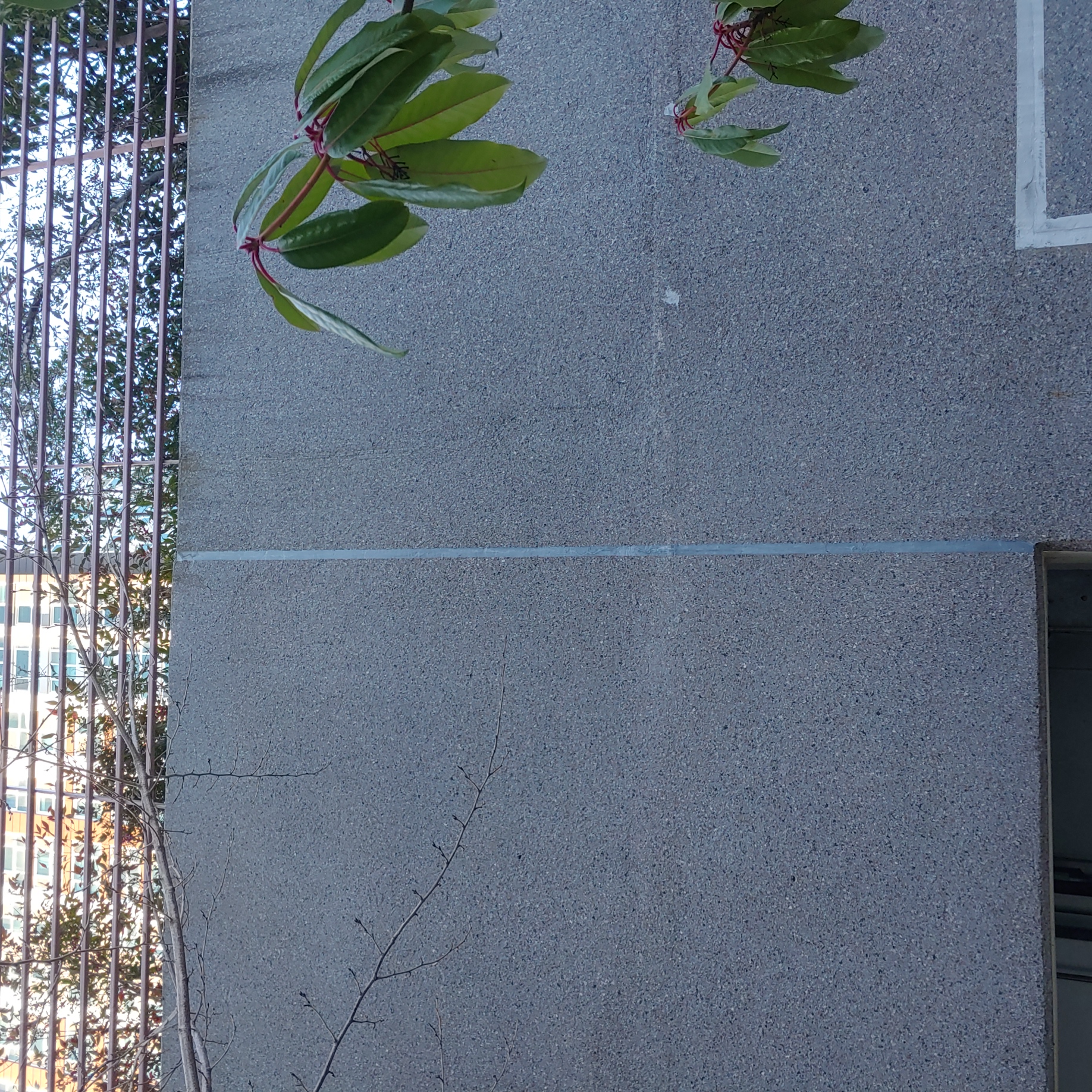 정관이지더원 아파트 — 외부 재도장