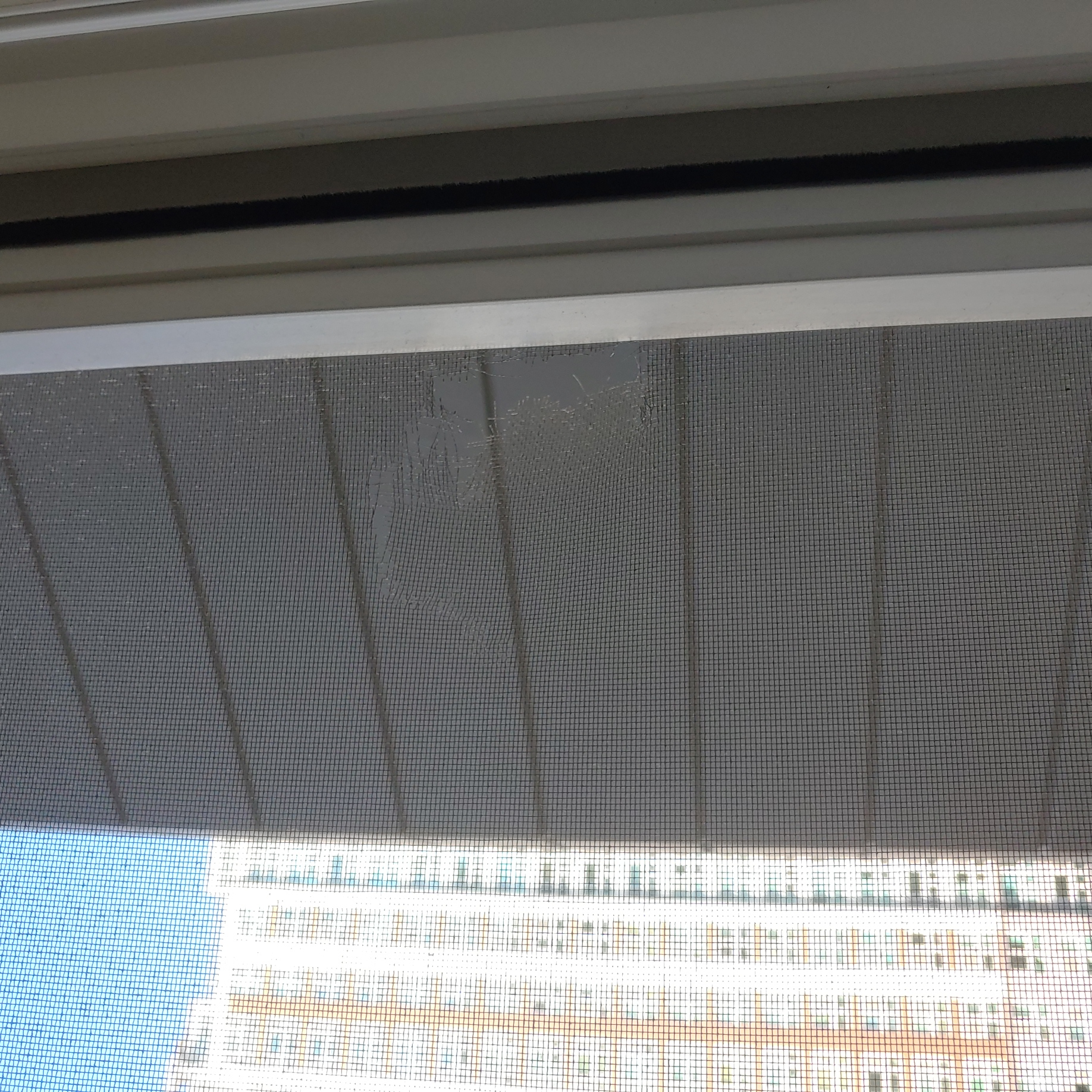 정관이지더원 아파트 — 외부 재도장