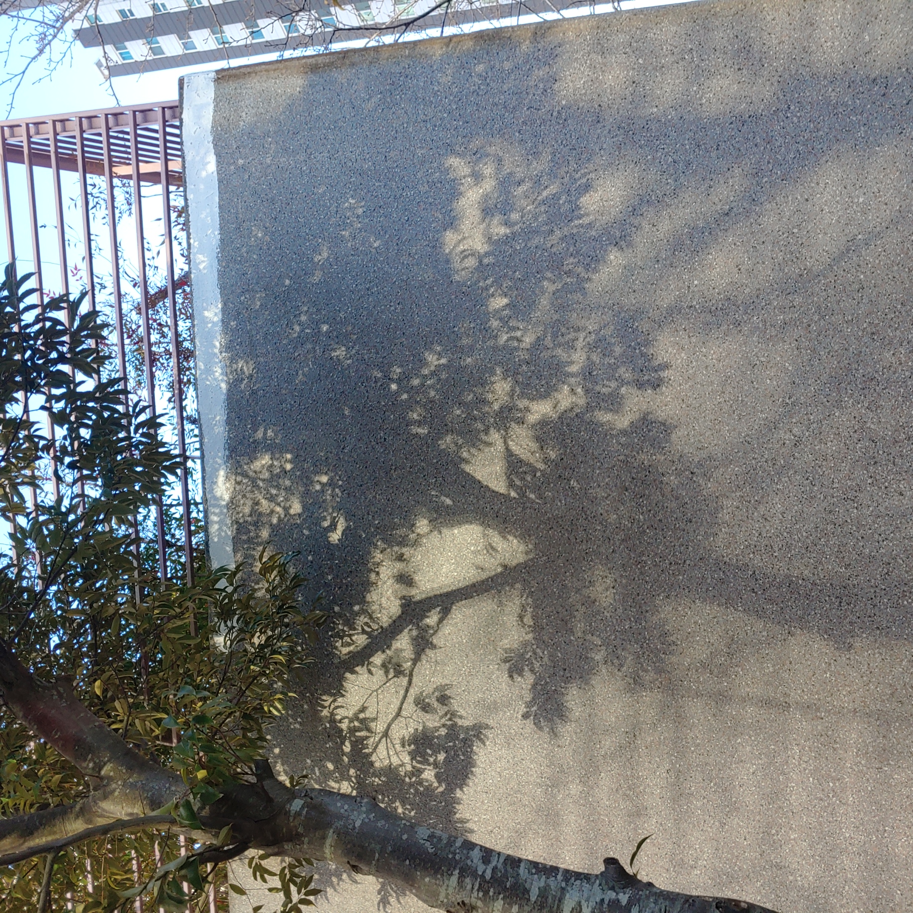 정관이지더원 아파트 — 외부 재도장