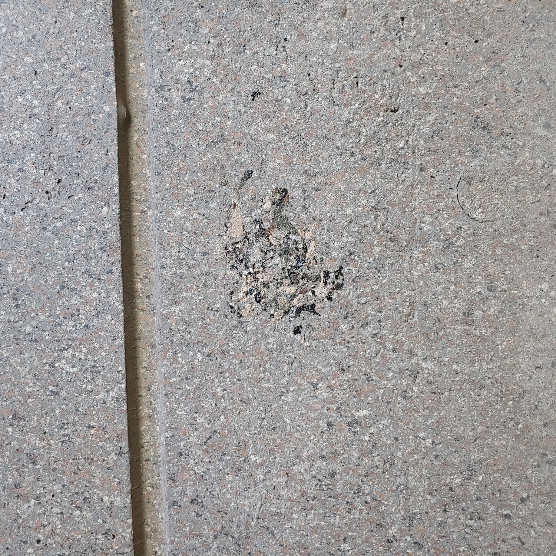 정관이지더원 아파트 — 외부 재도장