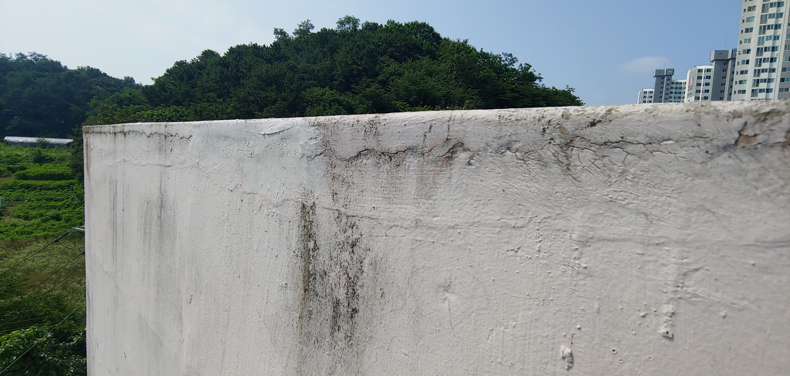 송화초등학교 — 초등학교