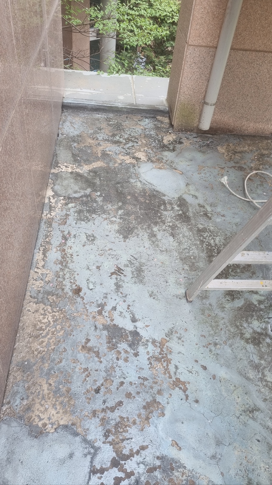 논현파크포레 아파트 — 아파트