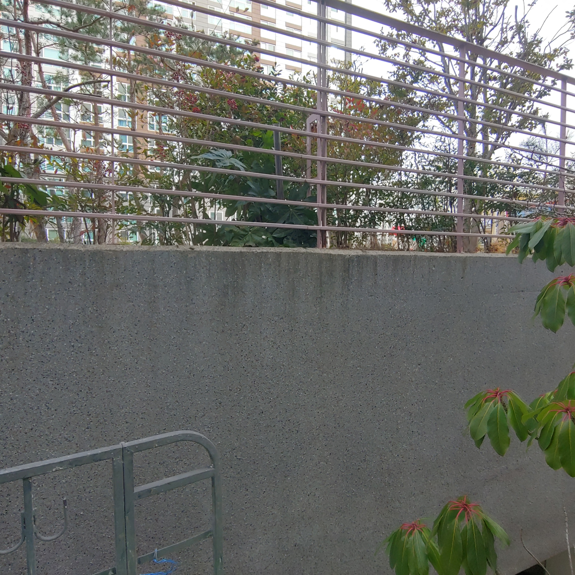 정관이지더원 아파트 — 외부 재도장