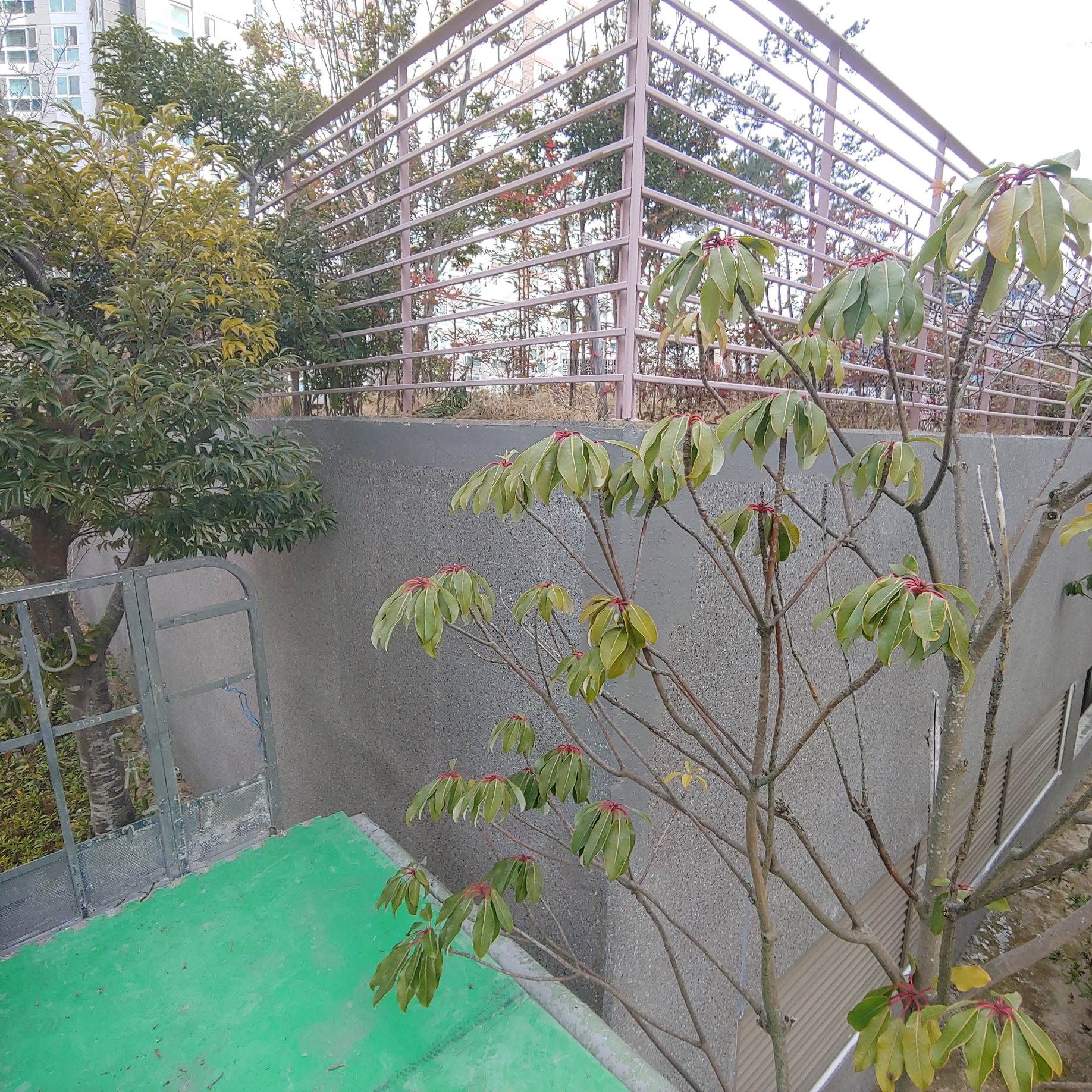 정관이지더원 아파트 — 외부 재도장