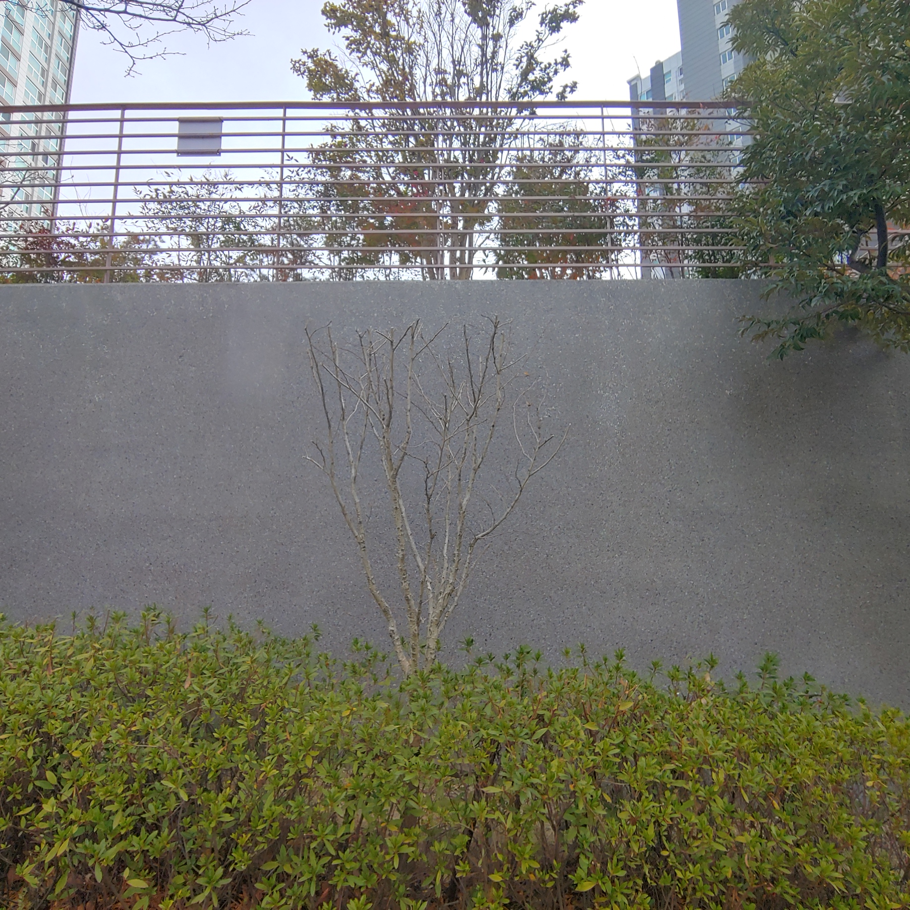 정관이지더원 아파트 — 외부 재도장