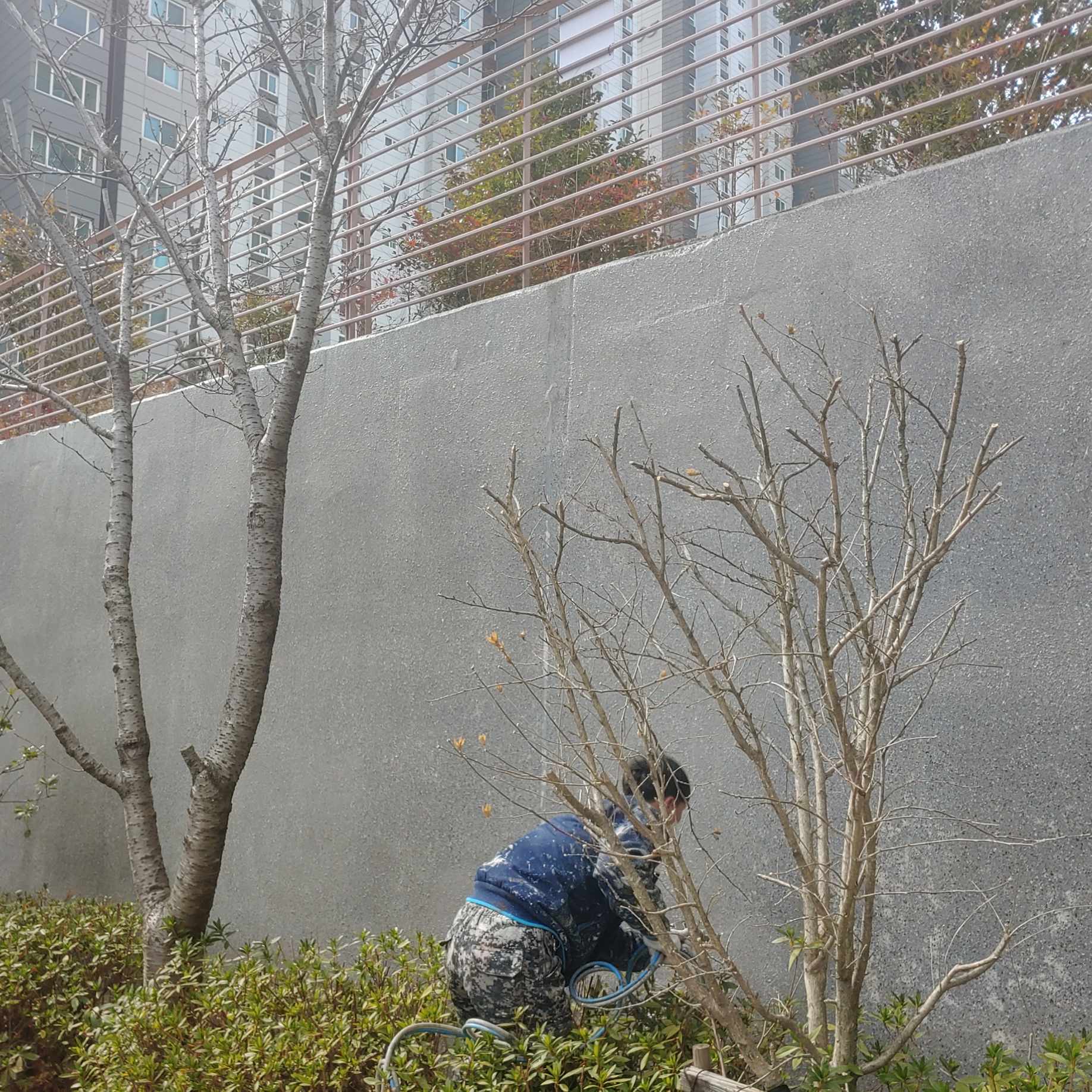 정관이지더원 아파트 — 외부 재도장