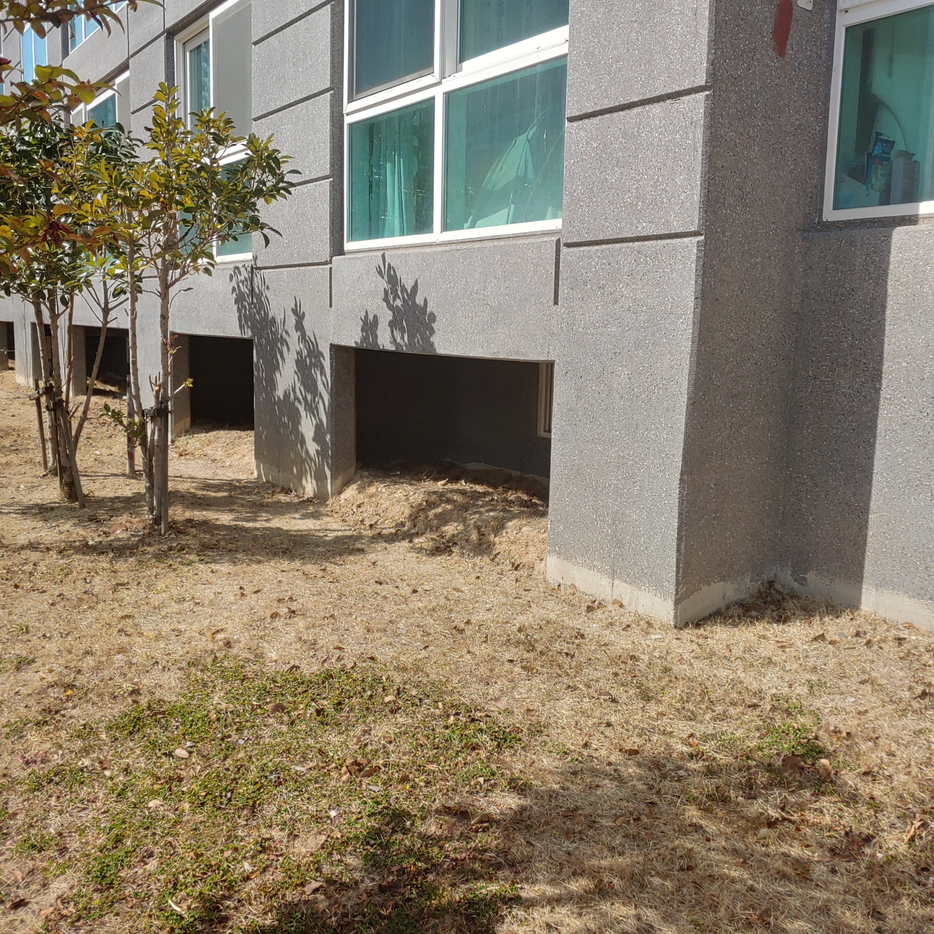 정관이지더원 아파트 — 외부 재도장