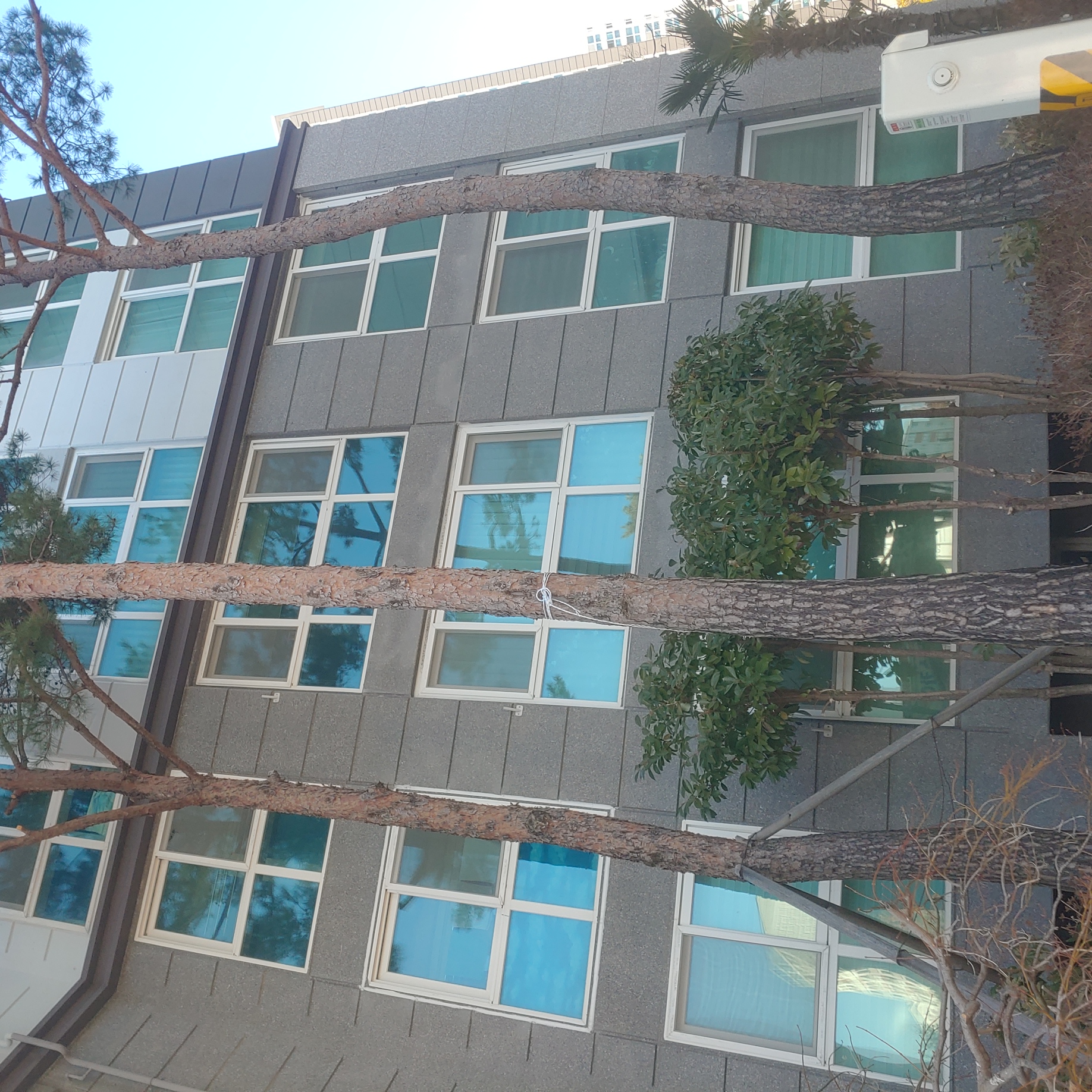 정관이지더원 아파트 — 외부 재도장