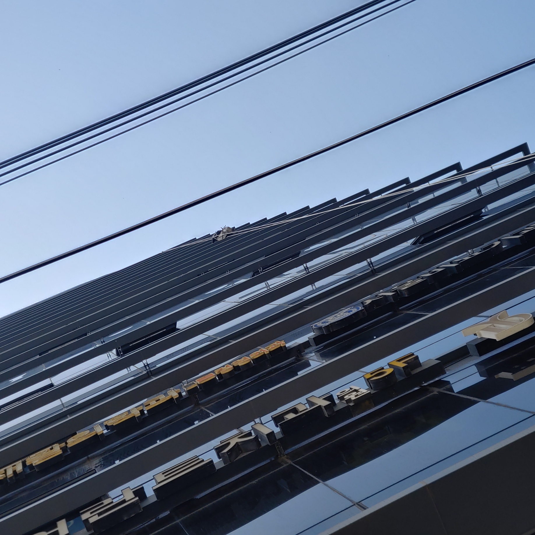 공덕빌딩 — 빌딩